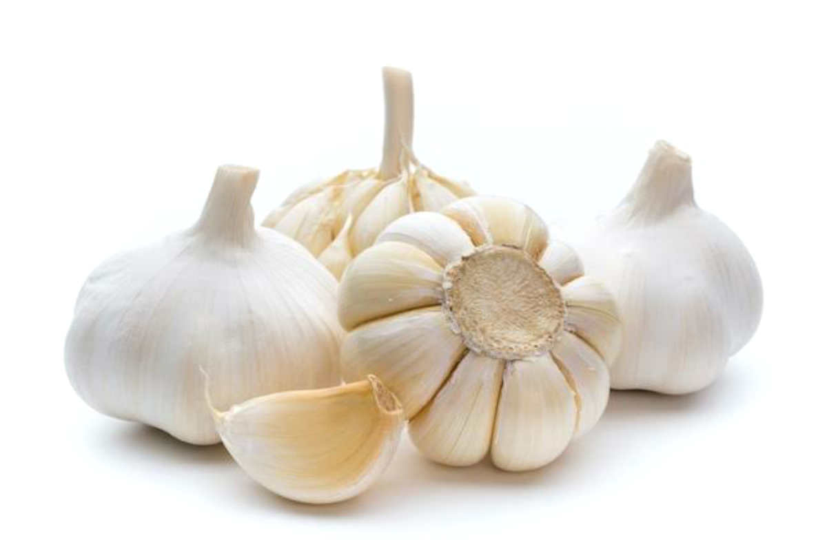 Benefits of Garlic