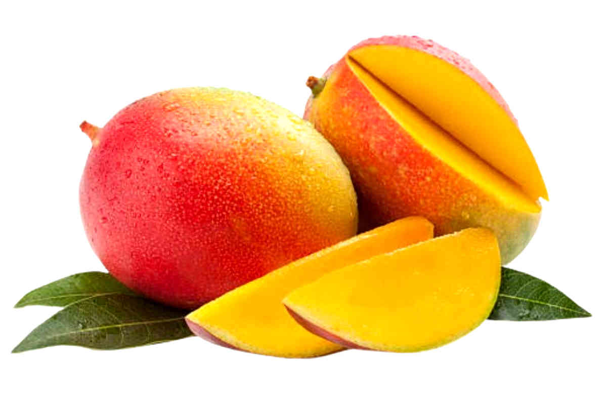 Benefits of eating Mangoes