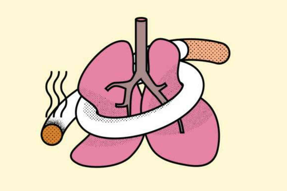 Effect of smoking