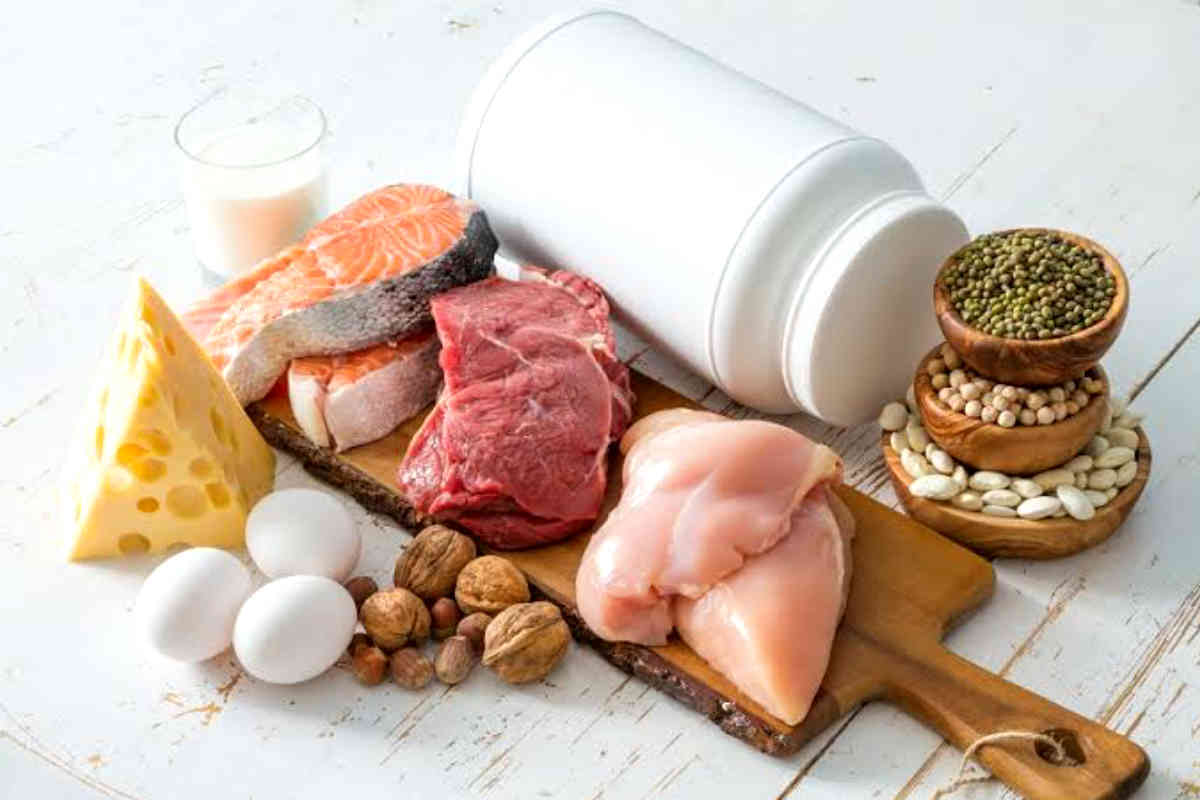 Top ten high protein foods