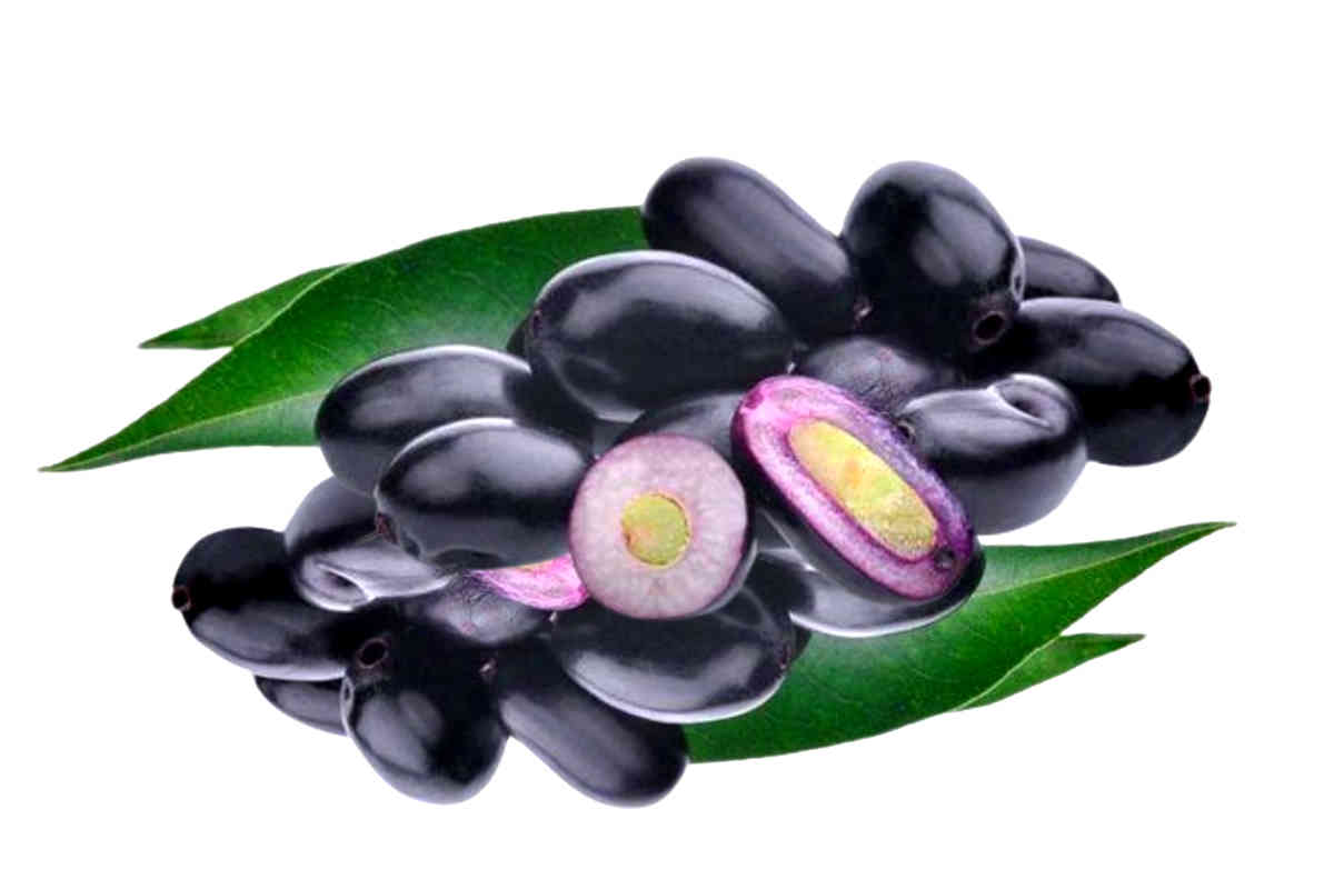 Health Benefits of Black Jam