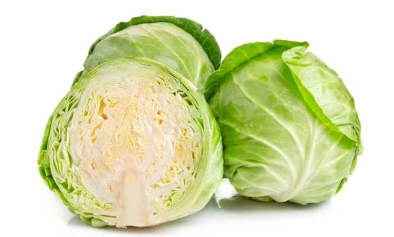 health benefits of cabbage