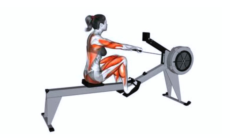 Rowing exercise benefits
