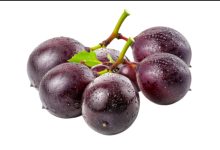 Benefits of muscadine grapes