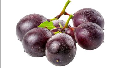 Benefits of muscadine grapes