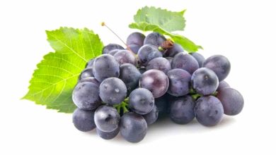 Benefits of concord grapes