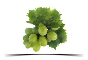 Benefits of grape leaves