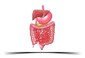 Benefits of Mandarin Oranges